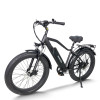 Fat Tire E Bike | 750W e mountain bike | mountain electric bike AEB28A