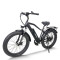Fat Tire E Bike | 750W e mountain bike | mountain electric bike AEB28A