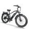 Fat Tire E Bike | 750W e mountain bike | mountain electric bike AEB28A