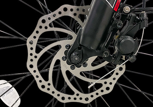 Fat Tire E Mountain bike