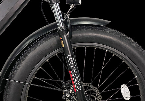 Fat Tire E Mountain bike