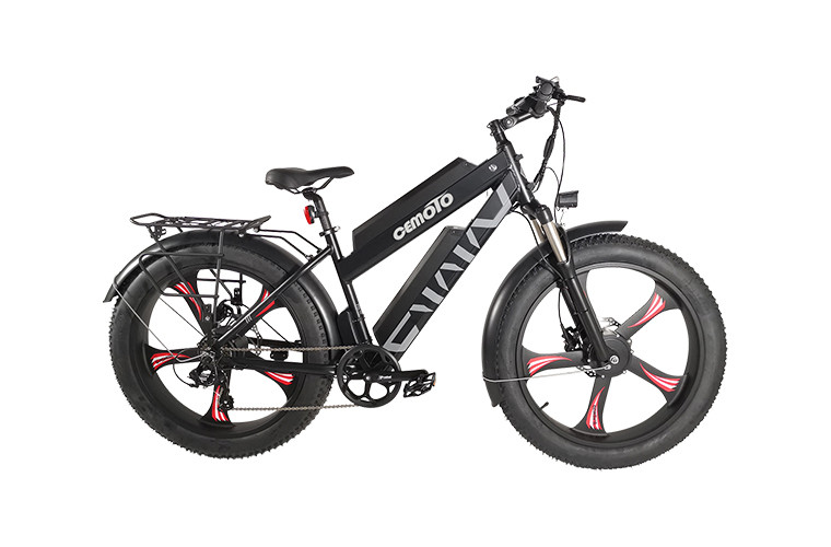   Fat Tire Dual Motor Ebike