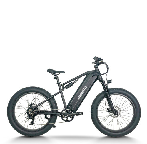 Fat Tire Electric Bike | 750W Dual Battery mountain e bike AEB59A