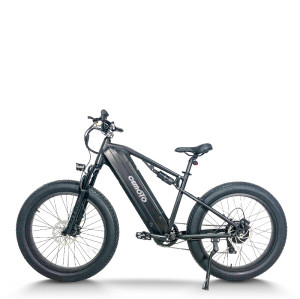 Fat Tire Electric Bike | 750W Dual Battery mountain e bike AEB59A