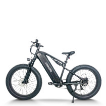 Fat Tire Electric Bike | 750W Dual Battery mountain e bike AEB59A