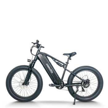 Fat Tire Electric Bike | 750W Dual Battery  mountain e bike AEB59A