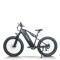 Fat Tire Electric Bike | 750W Dual Battery mountain e bike AEB59A