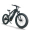 Fat Tire Electric Bike | 750W Dual Battery mountain e bike AEB59A