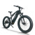 Fat Tire Electric Bike | 750W Dual Battery mountain e bike AEB59A
