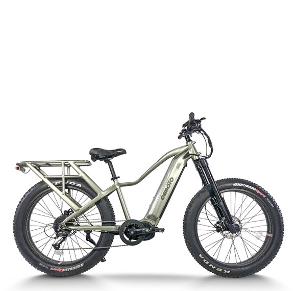 Fat Tire mountain e bike | 750W electric mountain  bike AEB58A