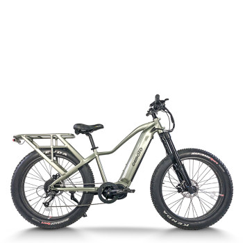 Fat Tire mountain e bike | 750W electric mountain  bike AEB58A