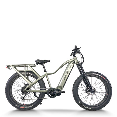 Fat Tire mountain e bike | 750W electric mountain  bike AEB58A