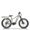 Fat Tire mountain e bike | 750W electric mountain bike AEB58A