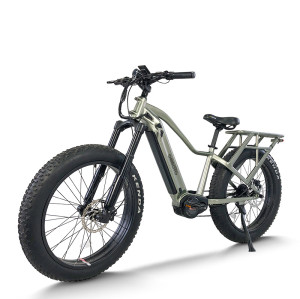 Fat Tire mountain e bike | 750W electric mountain  bike AEB58A