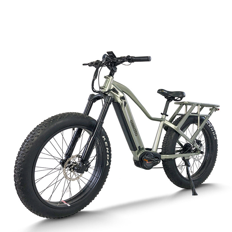 E Mountain bike