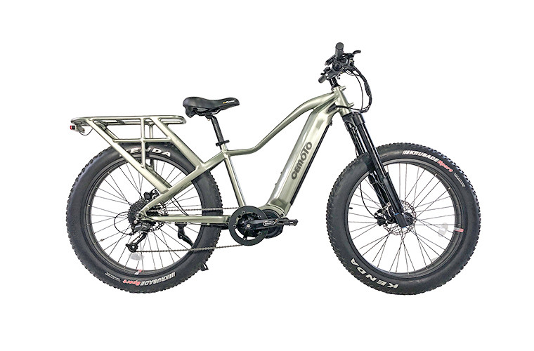 E Mountain bike