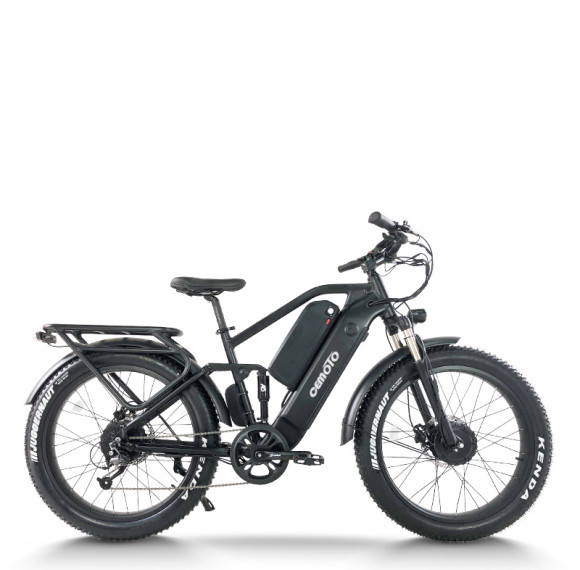 Dual Motor Fat Tire ebike | Dual Battery mountain e bike AEB56X