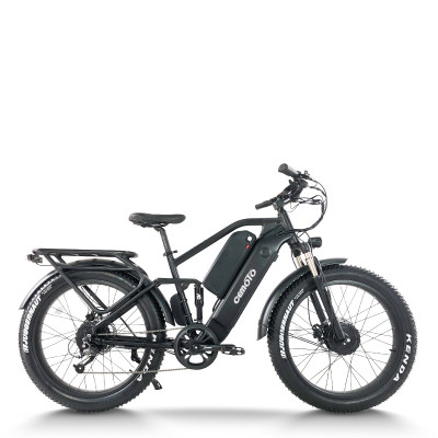 Dual Motor Fat Tire ebike | Dual Battery mountain e bike AEB56X