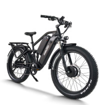 Dual Motor Fat Tire ebike | Dual Battery mountain e bike AEB56X