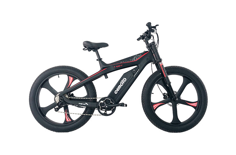 Fat Tire E Mountain Bike