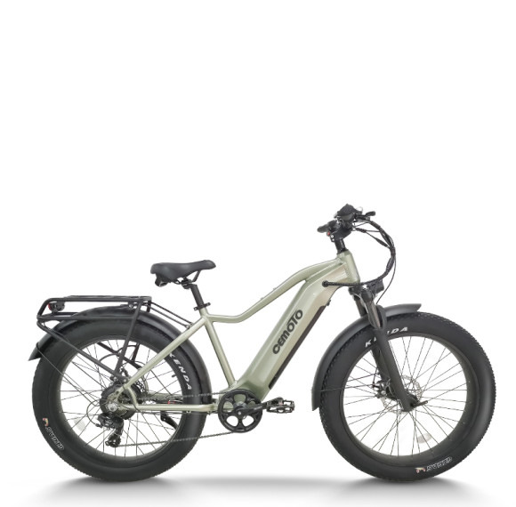 All Terrain Fat Tire E-Bike | 1000W E Mountain Bike CEM-AEB52A