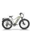 All Terrain Fat Tire E-Bike | 1000W E Mountain Bike CEM-AEB52A
