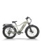 All Terrain Fat Tire E-Bike | 1000W E Mountain Bike AEB52A