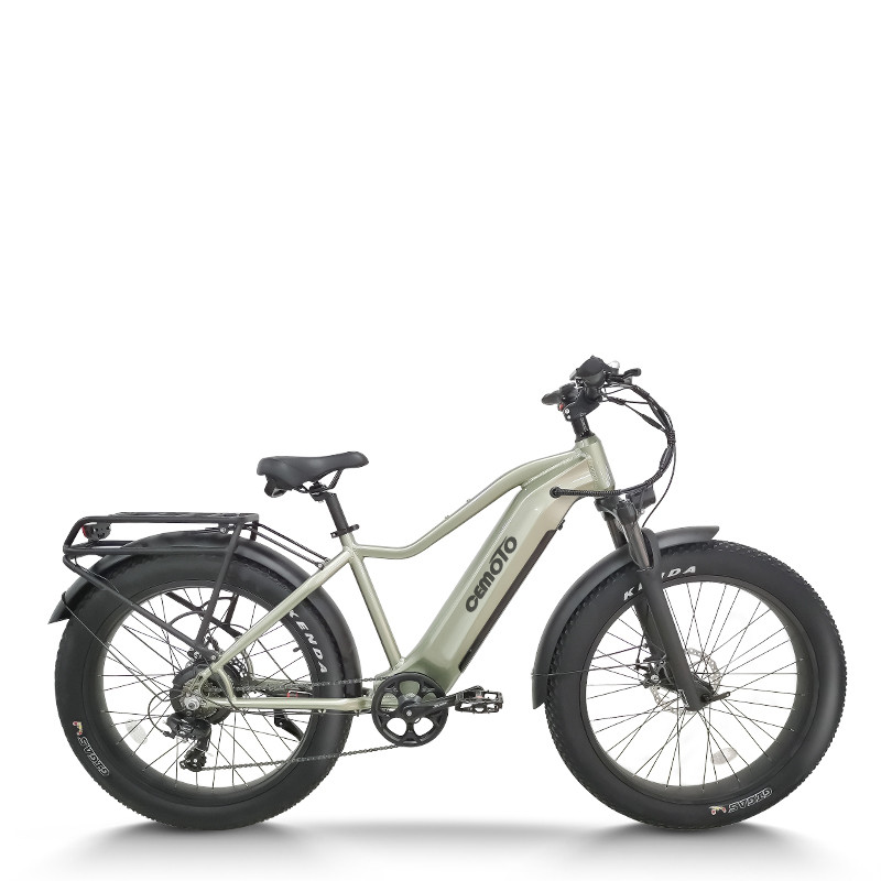 All Terrain Fat Tire E-Bike | 1000W E Mountain Bike CEM-AEB52A