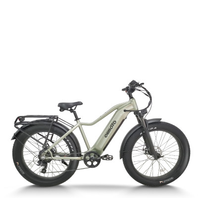 All Terrain Fat Tire E-Bike | 1000W E Mountain Bike CEM-AEB52A