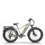All Terrain Fat Tire E-Bike | 1000W E Mountain Bike AEB52A
