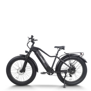 All Terrain Fat Tire E-Bike | 1000W E Mountain Bike CEM-AEB52A