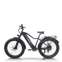All Terrain Fat Tire E-Bike | 1000W E Mountain Bike AEB52A