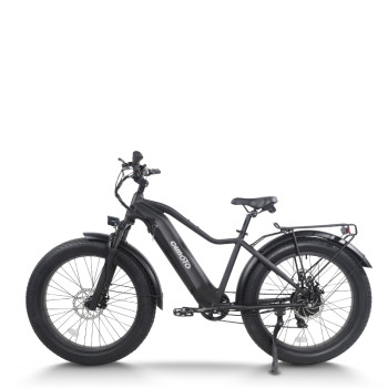 All Terrain Fat Tire E-Bike | 1000W E Mountain Bike AEB52A