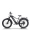 All Terrain Fat Tire E-Bike | 1000W E Mountain Bike AEB52A