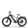 All Terrain Fat Tire E-Bike | 1000W E Mountain Bike CEM-AEB52A