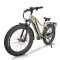 All Terrain Fat Tire E-Bike | 1000W E Mountain Bike AEB52A