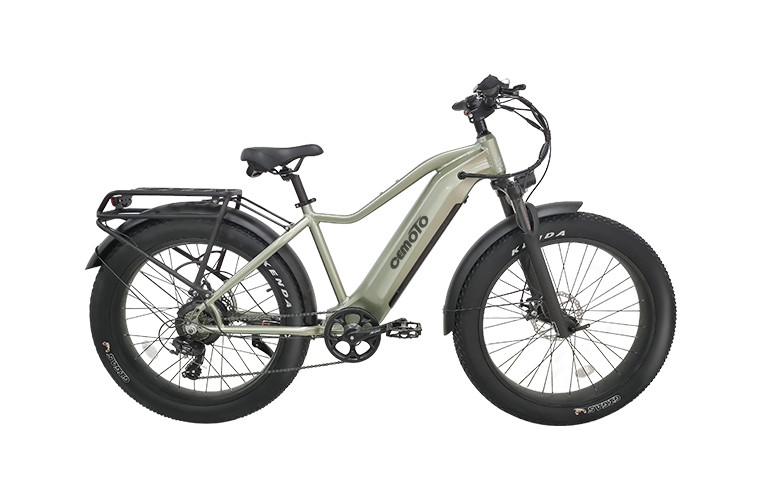 Fat Tire E  Mountain Bike