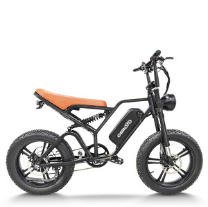 Fat Tire E Bike | 750W Moutain E Bike | E Moutain Bike CEM-AEB64