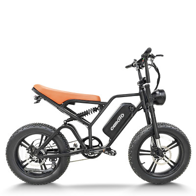 Fat Tire E Bike | 750W Moutain E Bike | E Moutain Bike AEB64