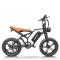 Fat Tire E Bike | 750W Moutain E Bike | E Moutain Bike AEB64