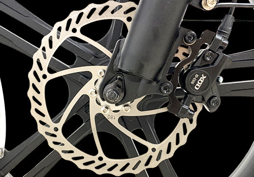 Fat Tire E Mountain bike
