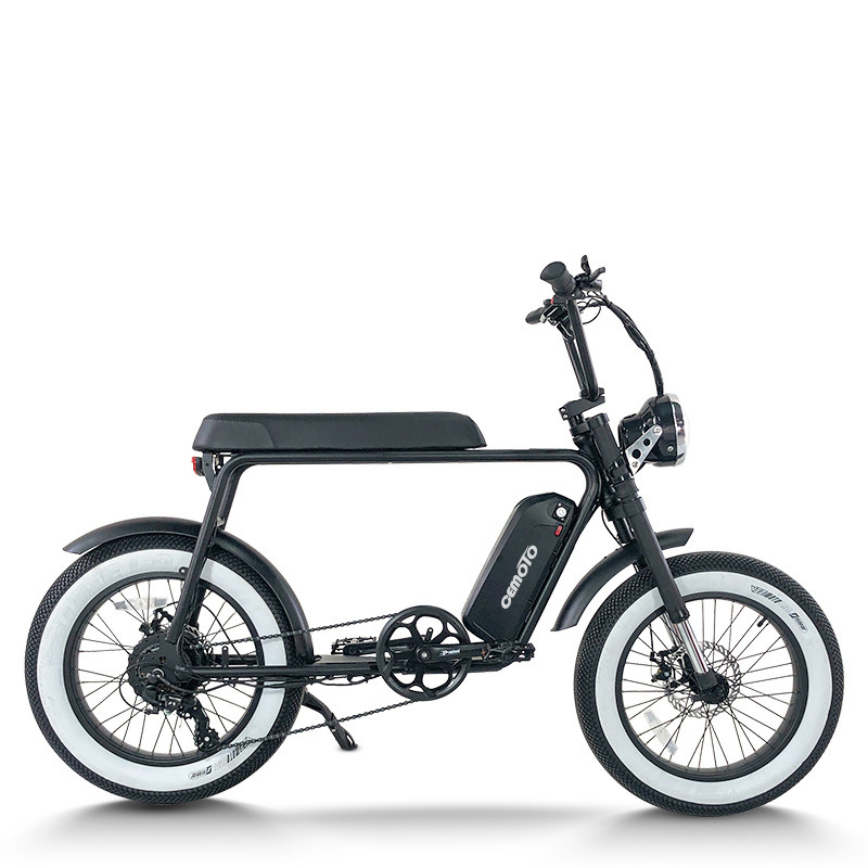 Fat Tire E Bike | 750W All Terrain E Bike | E Mouatin Bike AEB50