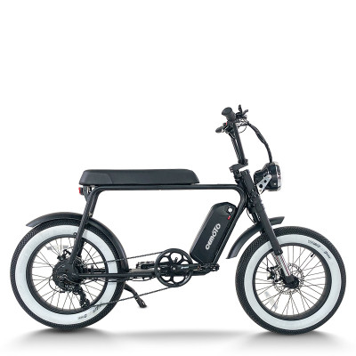 Fat Tire E Bike | 750W All Terrain E Bike | E Mouatin Bike CEM-AEB50