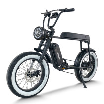 Fat Tire E Bike | 750W All Terrain E Bike | E Mouatin Bike AEB50