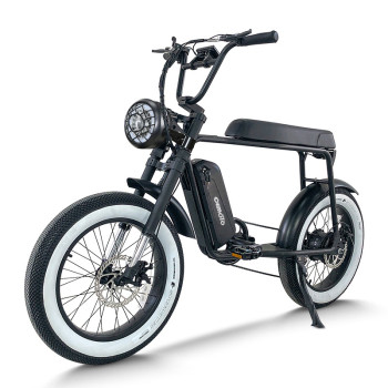 Fat Tire E Bike | 750W All Terrain E Bike | E Mouatin Bike AEB50