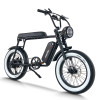 Fat Tire E Bike | 750W All Terrain E Bike | E Mouatin Bike CEM-AEB50