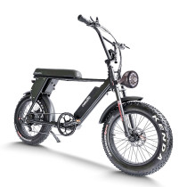 Fat Tire E Bike | 1000W All Terrain E Bike | E Mouatin Bike AEB49