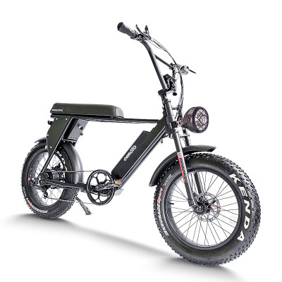 Fat Tire E Bike | 1000W All Terrain E Bike | E Mouatin Bike AEB49