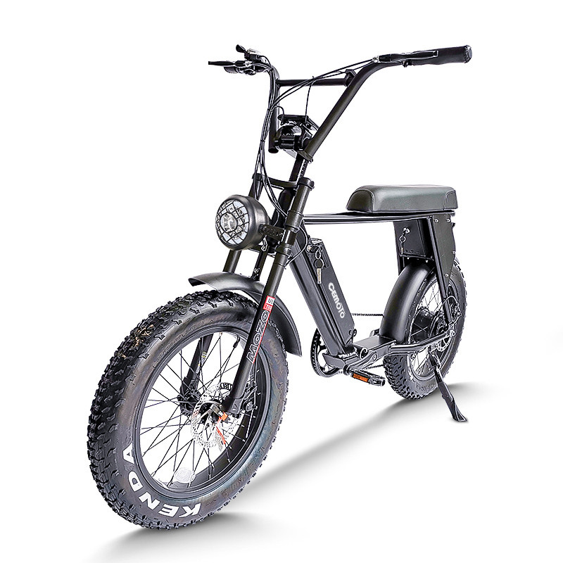  Fat Tire E Mouatin Bike