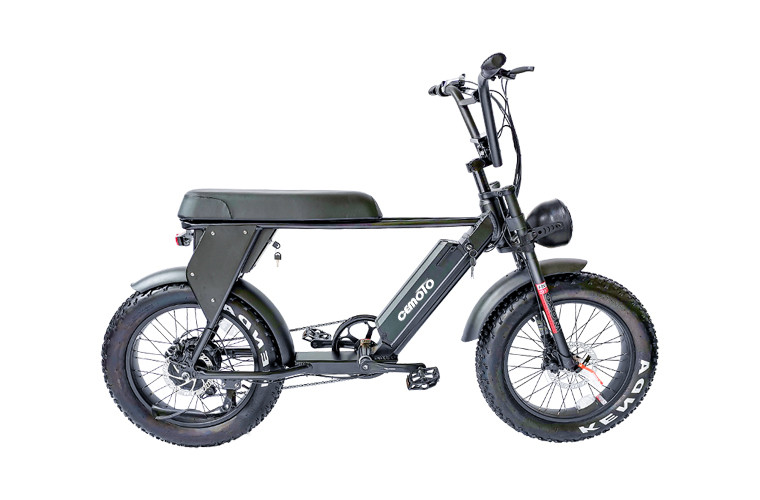 Fat Tire E Mouatin Bike